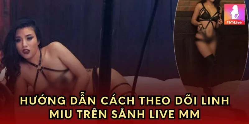 Hướng dẫn cách theo dõi Linh Miu trên sảnh live MM