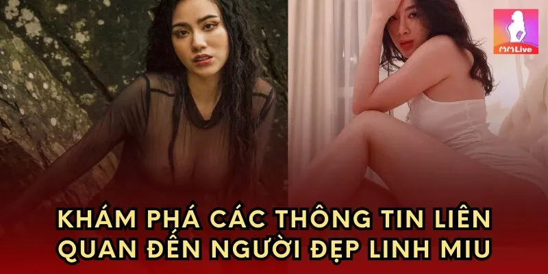 Khám phá các thông tin liên quan đến người đẹp Mỹ Linh 