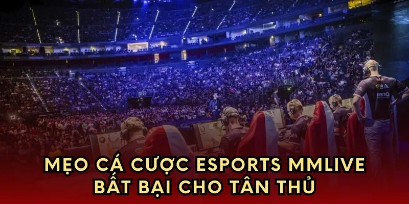 Mẹo cá cược esports bất bại cho tân thủ